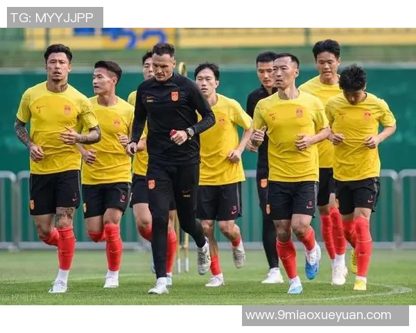 国家队迎战新西兰全力争胜展现团队精神与竞技风采