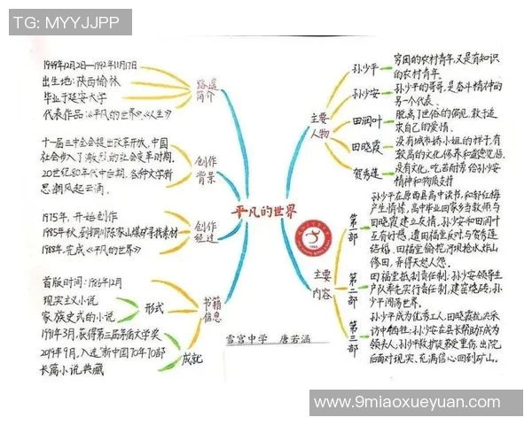 苏伟的成长之路：从平凡少年到杰出领袖的奋斗历程与人生感悟